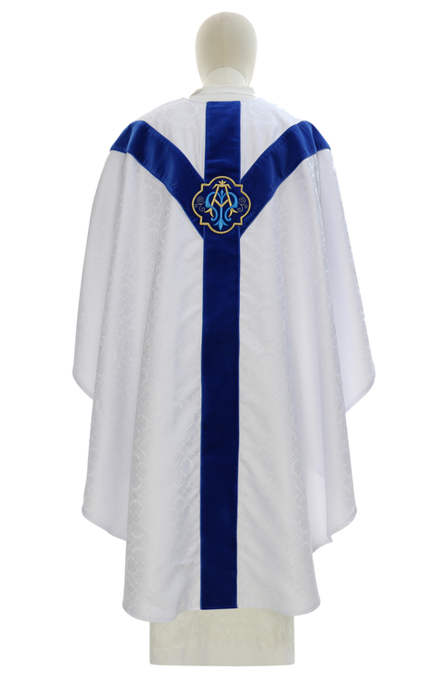 Casula semigotica GY3-ABN25