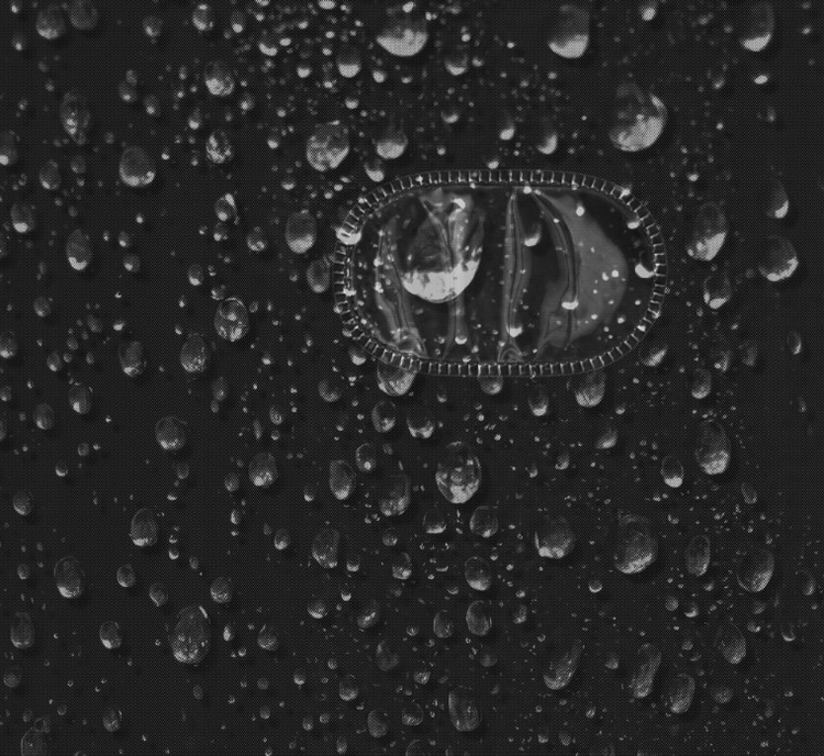 Cubierta para vestimentas COVER-W